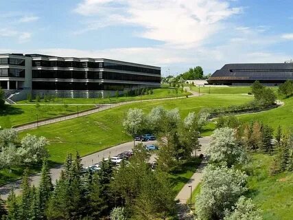 kanada-alberta-universitesi-basvuru