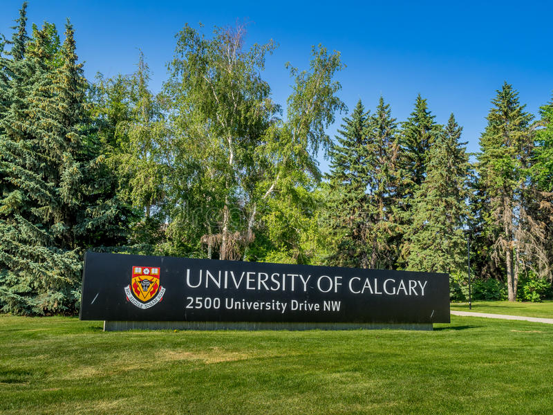 kanada-calgary-universitesi-basvuru