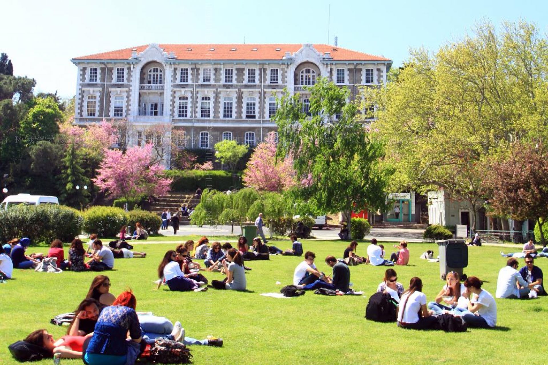 4-yillik-universiteye-nasil-girilir