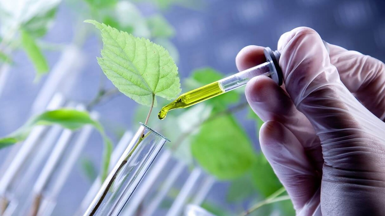 azerbaycan-bioteknoloji