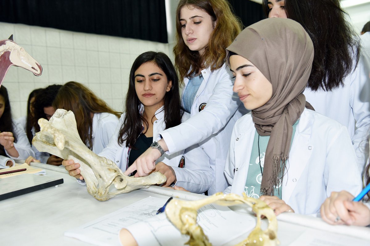 nahcivan-devlet-universitesi-veteriner-fakultesi-staj
