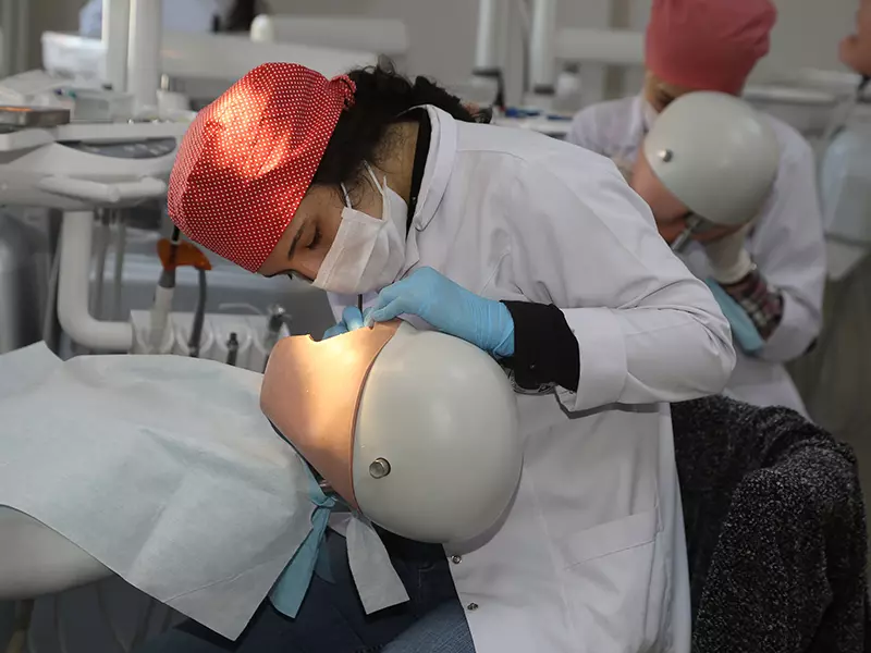 azerbaycan tip ve dis egitimi icin ogrenci vizesi sureci